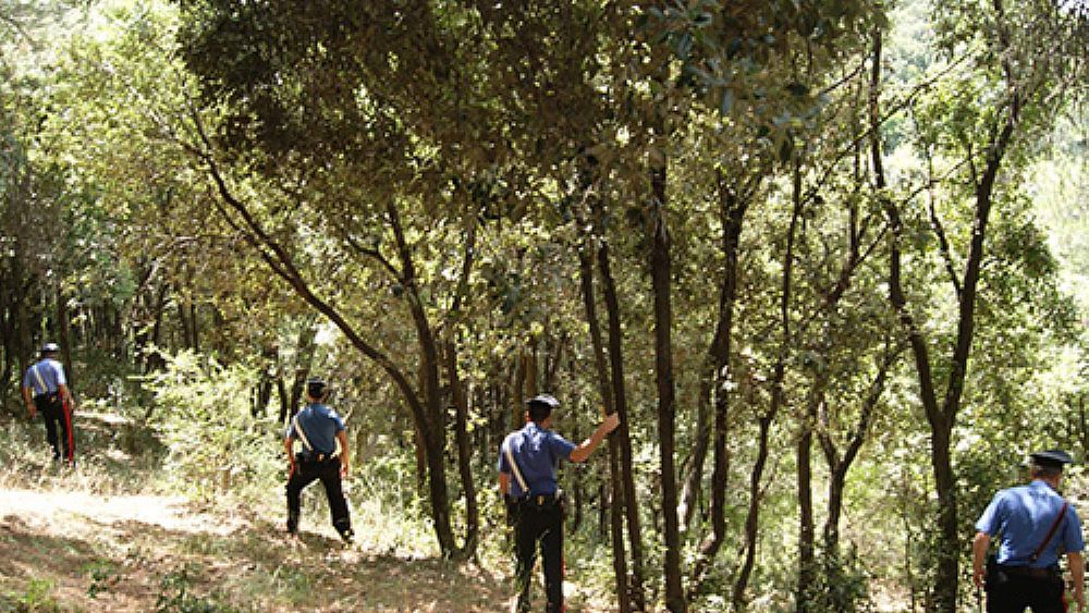 10102017 carabinieri montagna