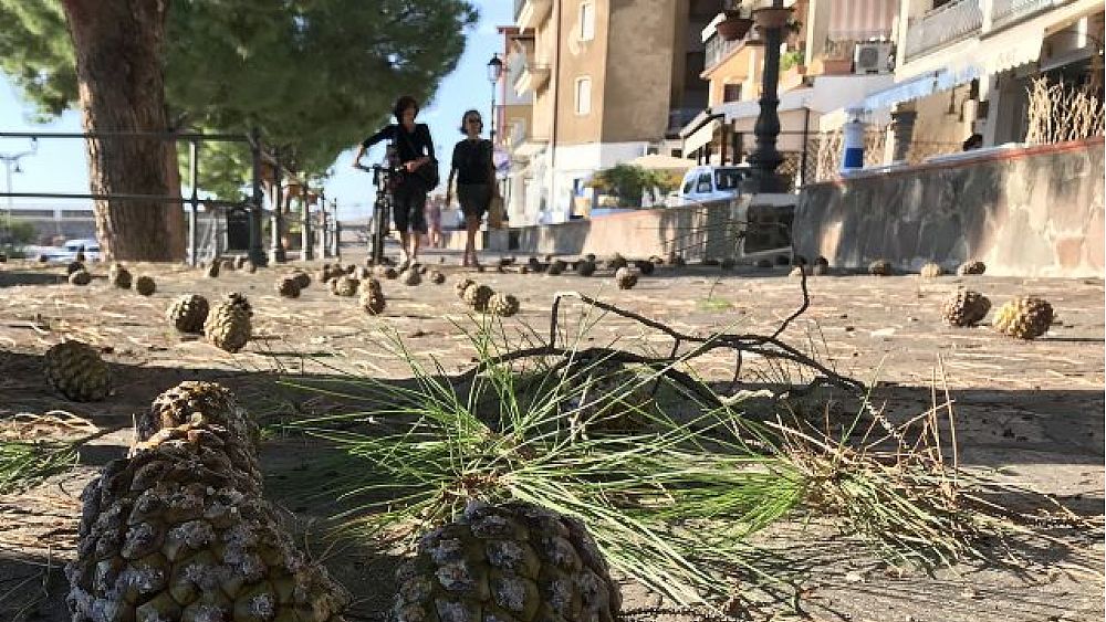 10102018 pigne4 10102018 pigne4