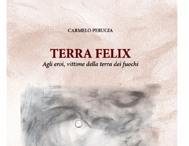 10102018 terra felix