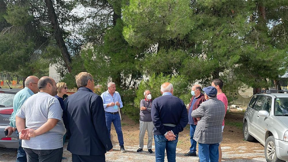 10102022 alberi donati