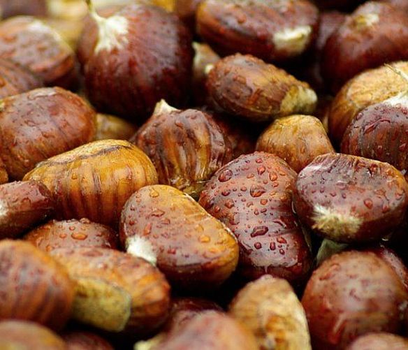 10102022 castagne pioggia