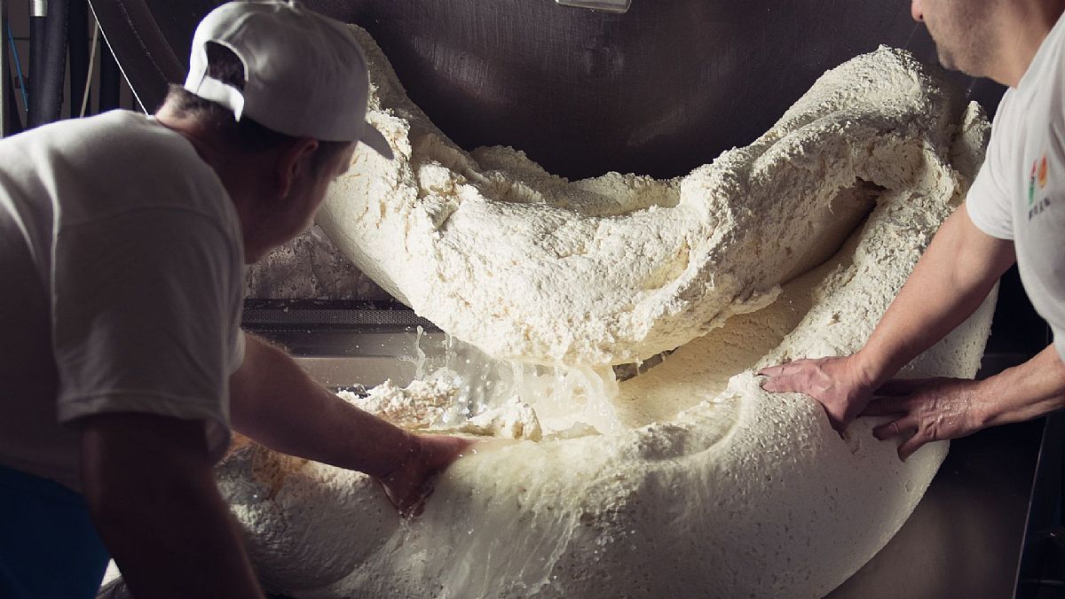 10102024 produzione dop 235 10102024 produzione dop 235