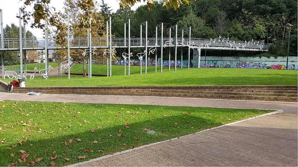 10112016 foto luci dell irno caprioli