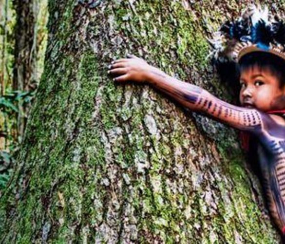 Paolo-Abbate foto - 10112016 olio di palma problema mondiale