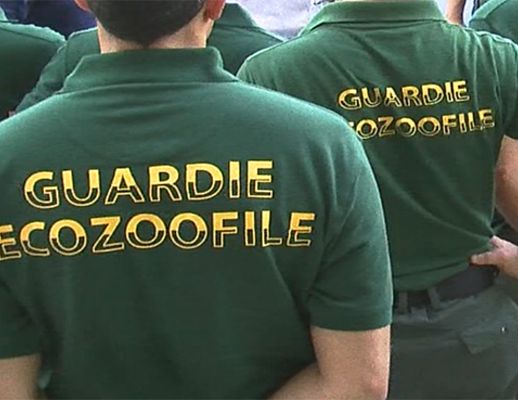 10122015 guardie ecozoofile