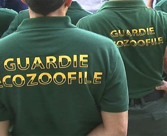 10122015 guardie ecozoofile