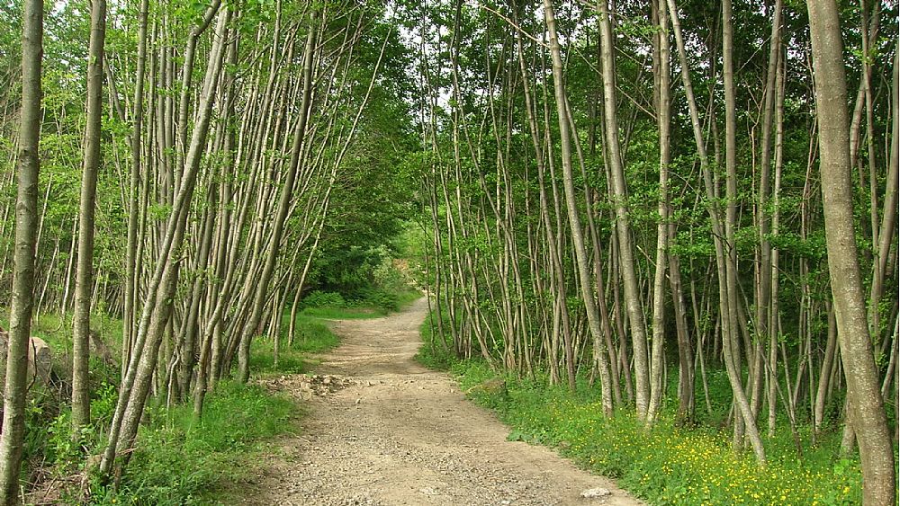 10122016 parco del cilento