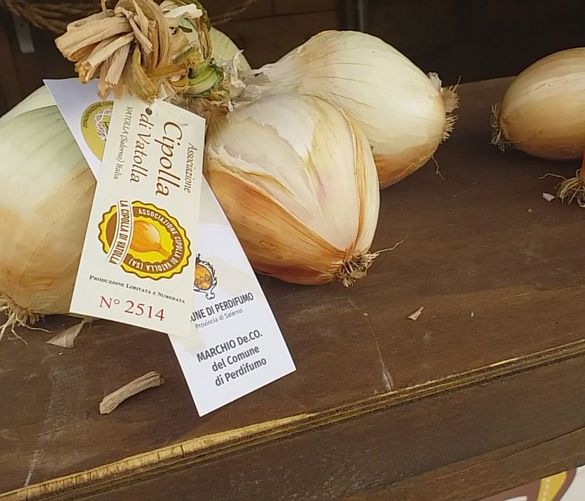10122021 cipolla di vatolla 3