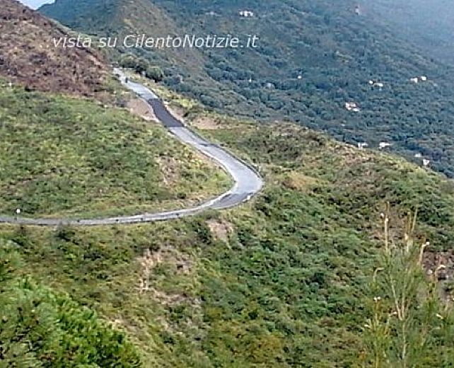 11012014 frana pisciotta