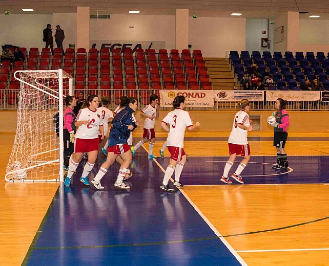 11012016 foto da fb fenix santa maria