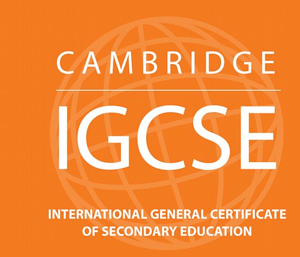 11012018 IGCSE Cambridge International