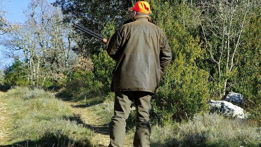 11012021 cacciatore 11012021 cacciatore