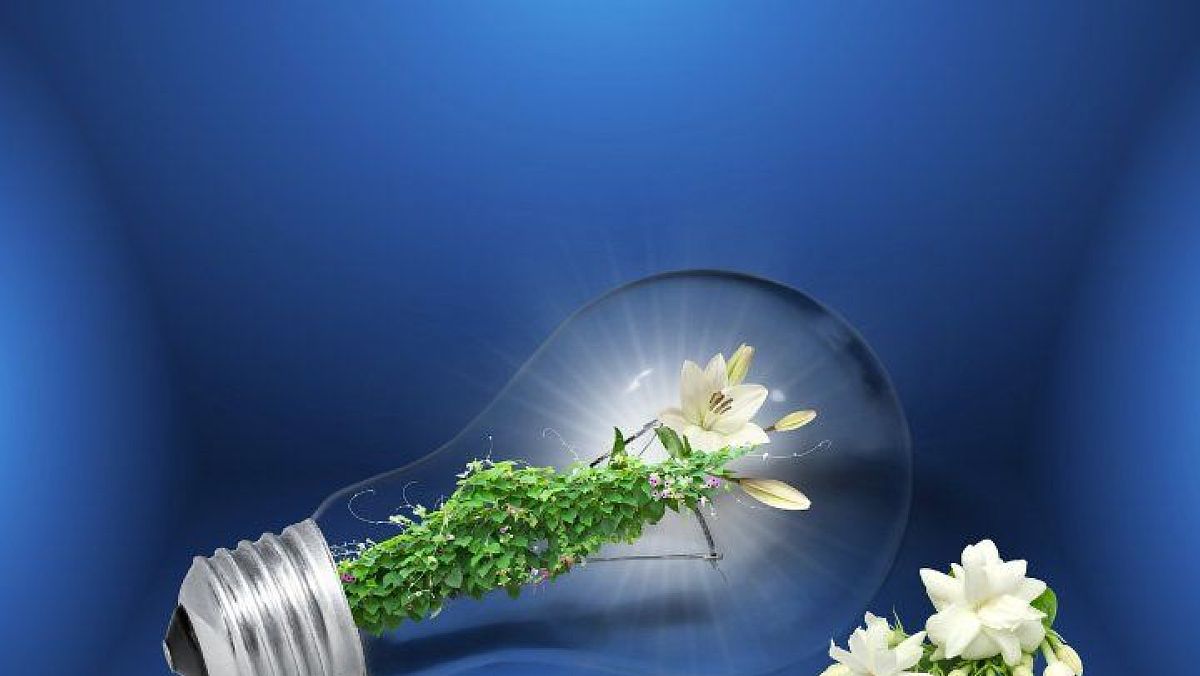 11012025 rinnovabili 11012025 rinnovabili