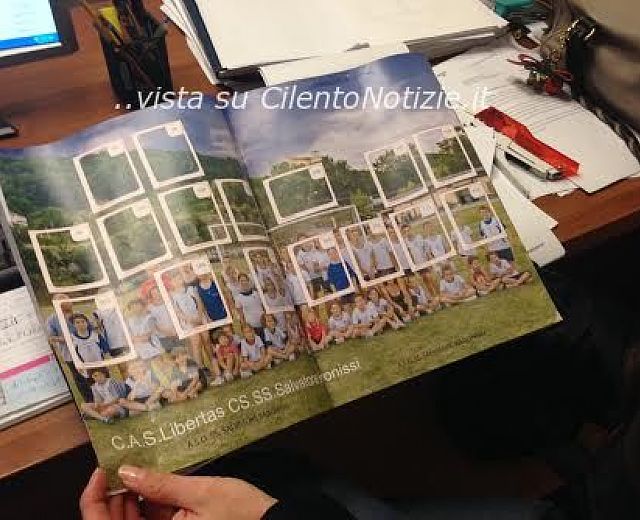 11022014 album figurine