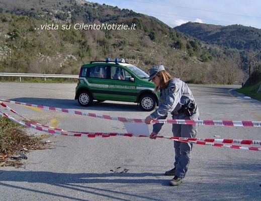 11022014 sequestro forestale 01