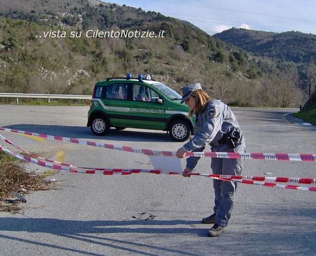 11022014 sequestro forestale 01