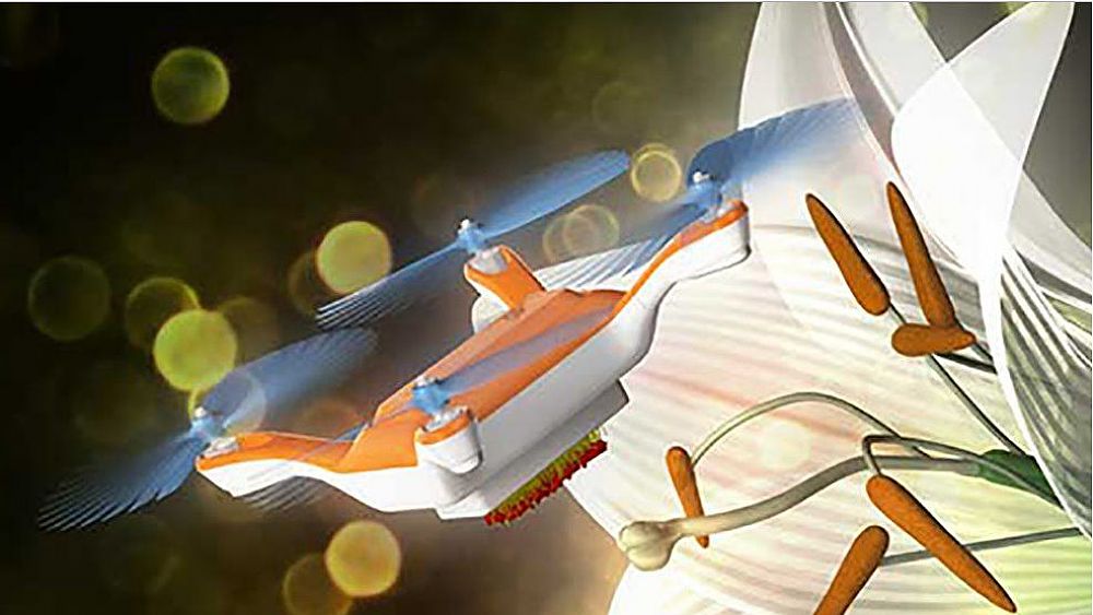 11022017 drone Tsukuba bee 11022017 drone Tsukuba bee