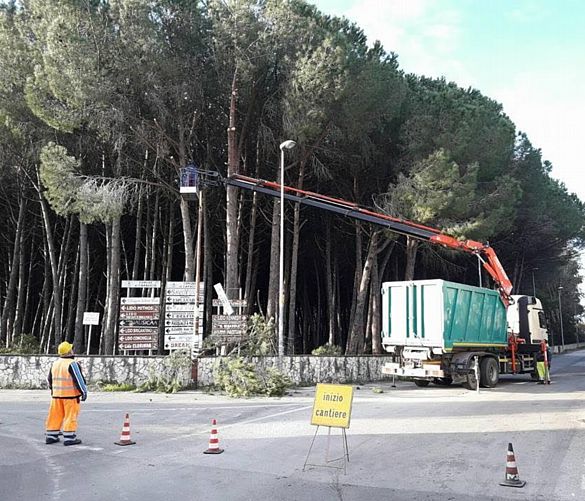 11022017 interventi pineta capaccio