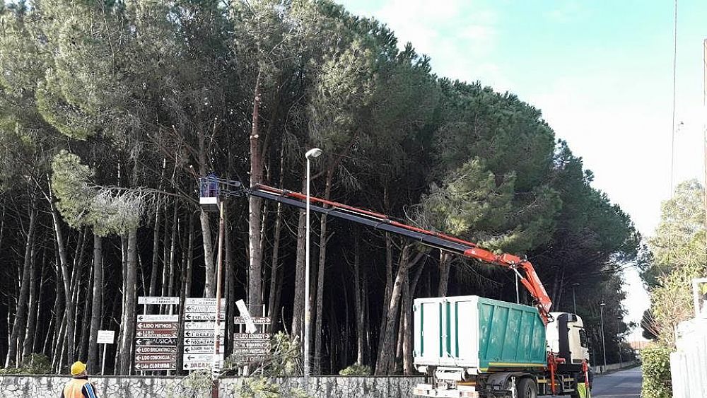 11022017 interventi pineta capaccio