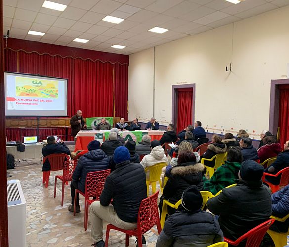 11022023 incontro petina