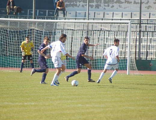 11032013 gelbison in campo