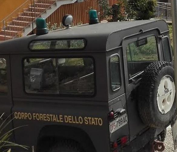 11032016 auto forestale