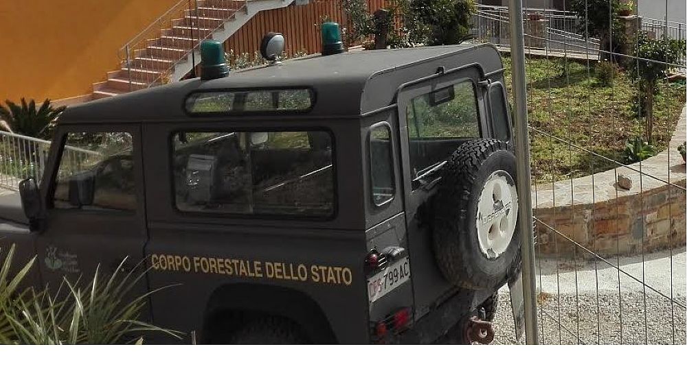 11032016 auto forestale