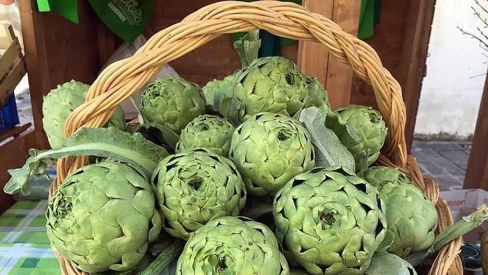 11042016 bianco tanagro carciofi