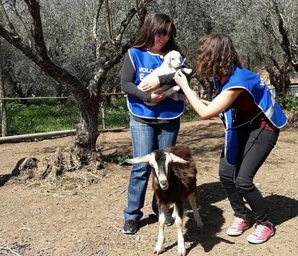 11042017 agnelli e volontari