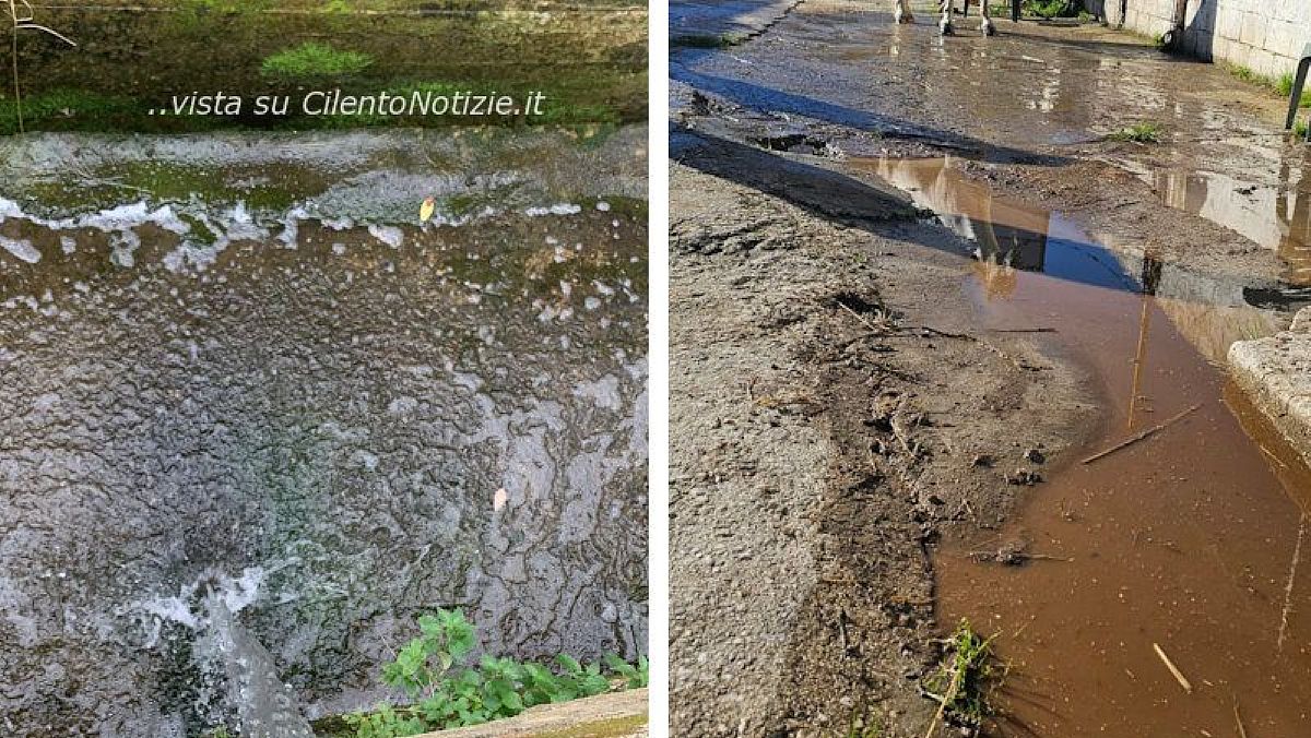 11042024 scarichi illeciti 11042024 scarichi illeciti