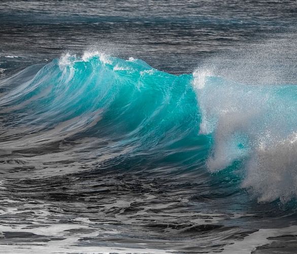 11042025 waves 3361029 1280