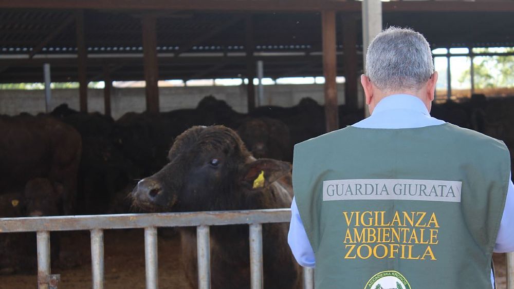 11052018 sequestri aksalerno