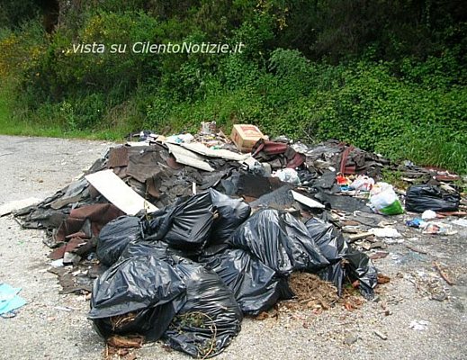 11062013 DSCN4851 11062013 DSCN4851