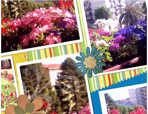 11062014 vallo in fiore