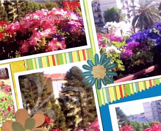 11062014 vallo in fiore 11062014 vallo in fiore