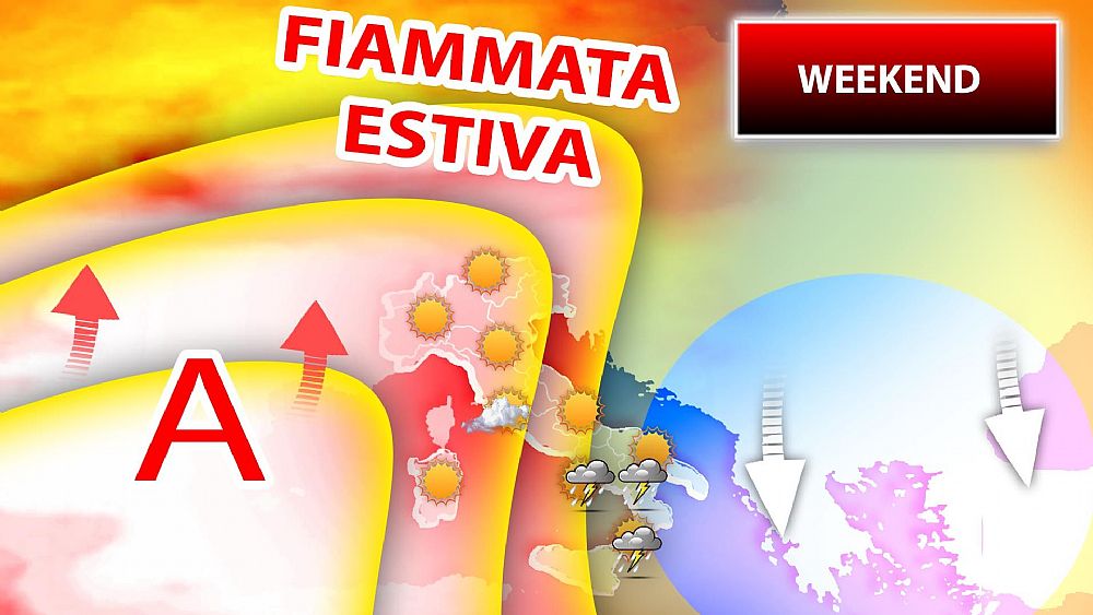 11062021 weekend 11621