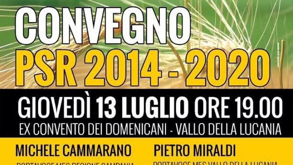 11072017 convegno psr