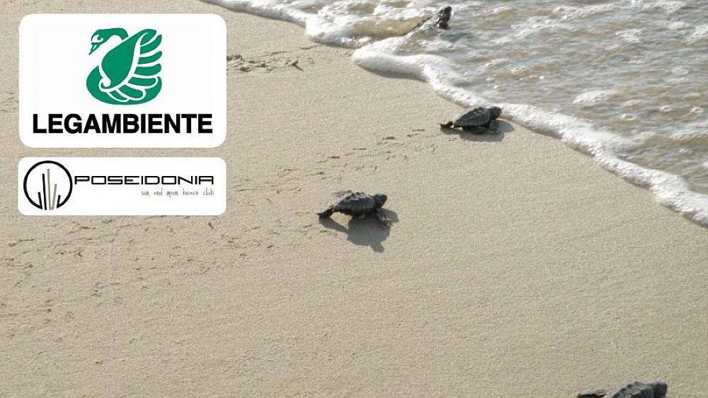 11072017 lidi tartafriendly