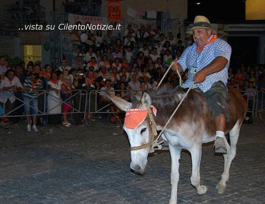 11082014 palio ciuccio albanella