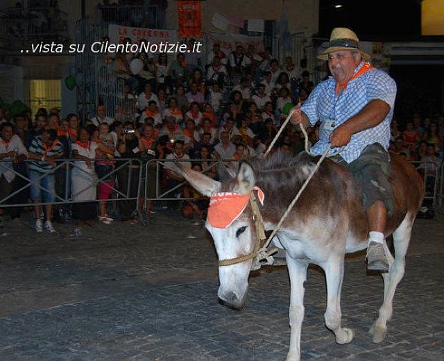 11082014 palio ciuccio albanella