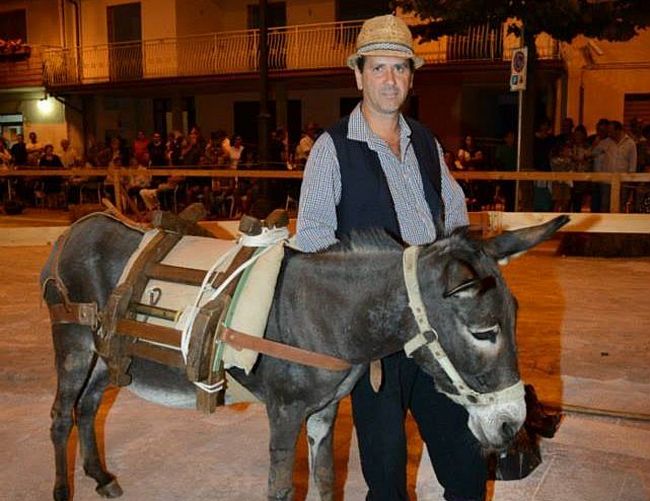 11082016 palio ciuccio cuccaro vetere