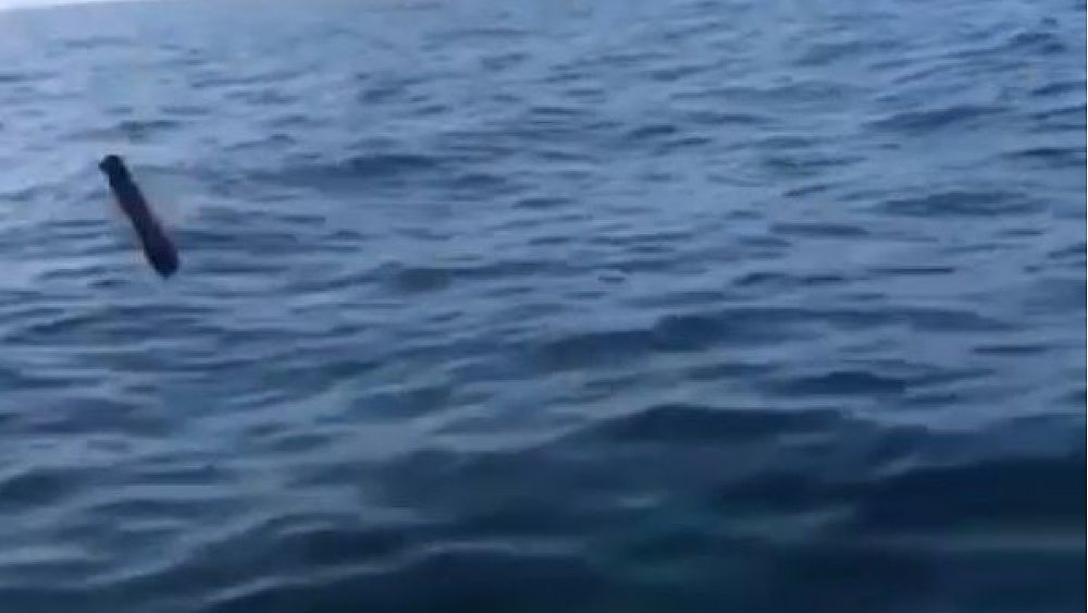 11082019 plastica in mare