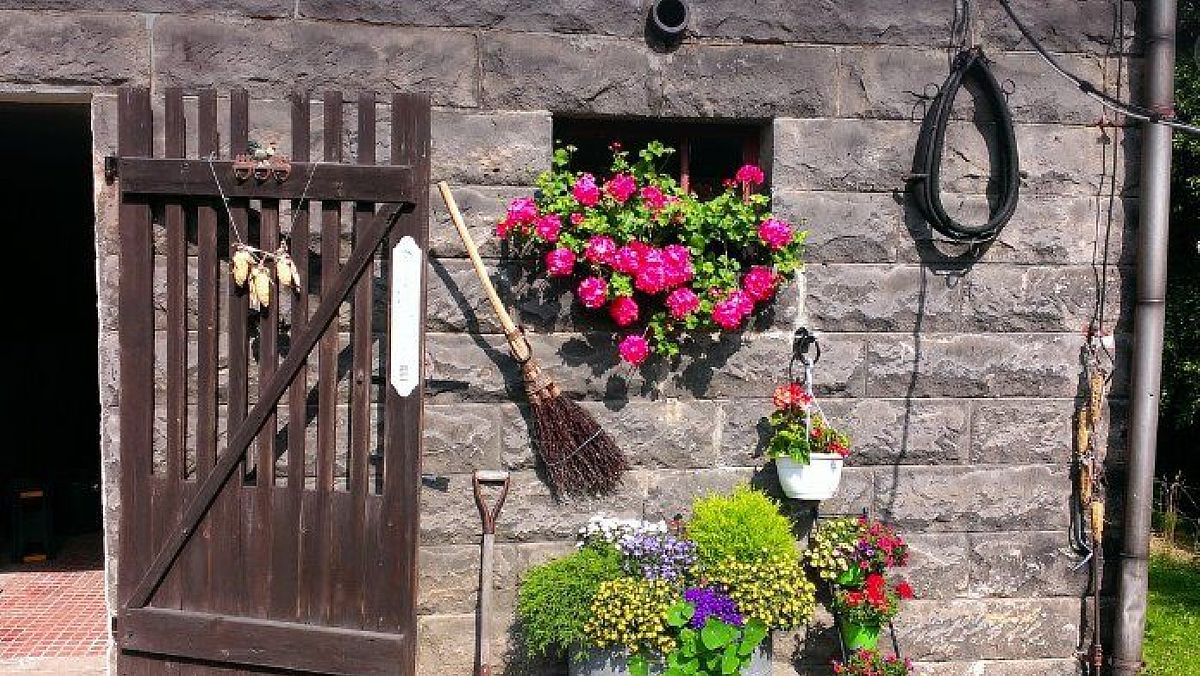 11082024 foto agriturismo9 11082024 foto agriturismo9