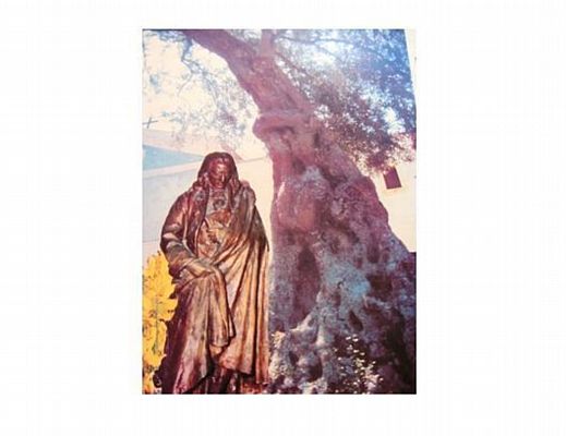 Marisa-Russo foto - 11092014 vico foto russo