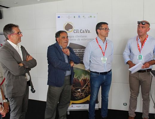 11092015 castagna cilentana economia