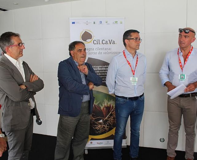 11092015 castagna cilentana economia