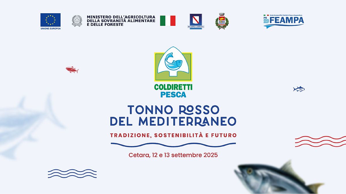 11092025 progetto tonno rosso 11092025 progetto tonno rosso