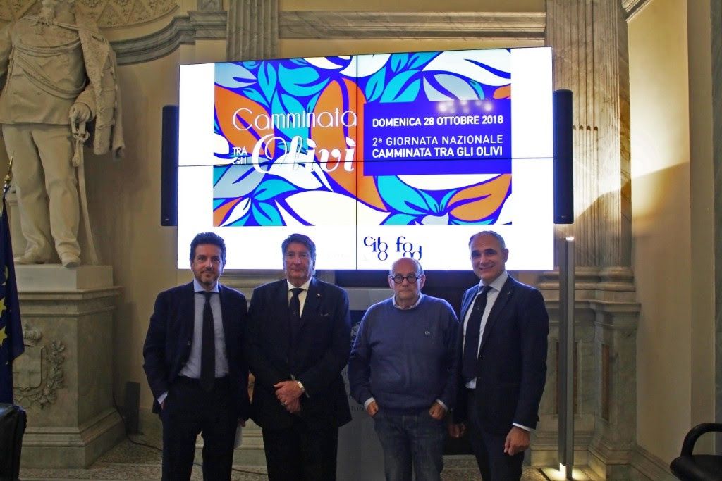 camminata olivi