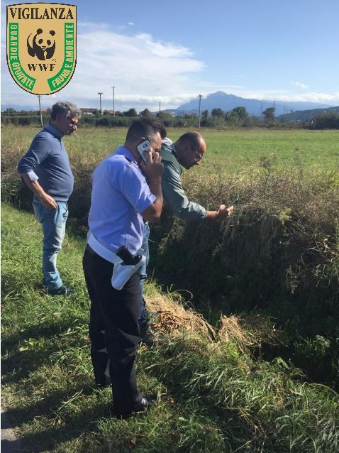 vigilanza wwf