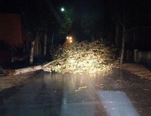 11112013 maltempo albero caduto